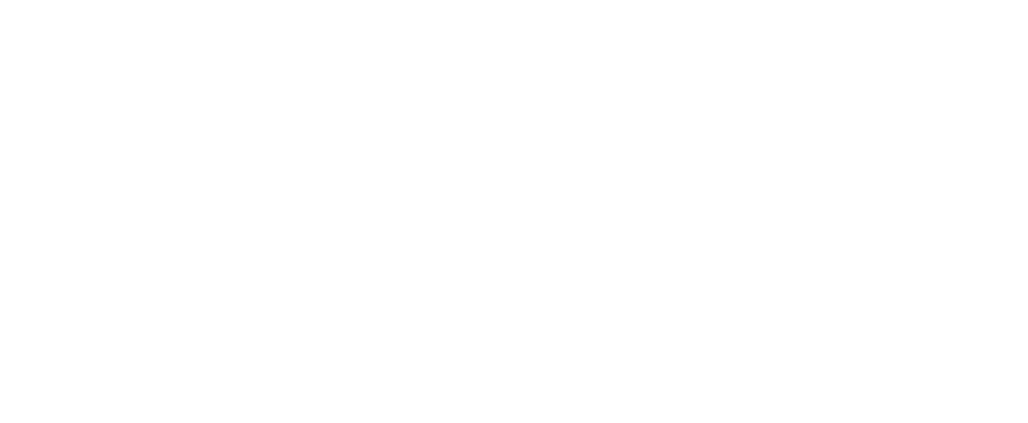Vincent Rubens